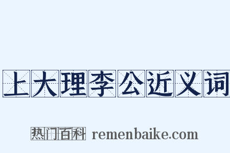 上大理李公近义词是什么意思的图片